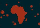 Crise du Covid-19 en Afrique : lecture et perspectives