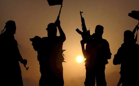 Terrorisme au Sahel : le mirage du djihadisme peul