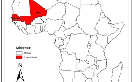 Conflits fonciers en Afrique de l’Ouest