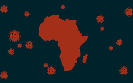 Crise du Covid-19 en Afrique : lecture et perspectives