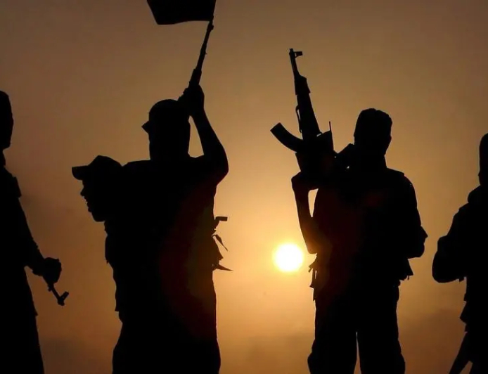 Terrorisme au Sahel : le mirage du djihadisme peul